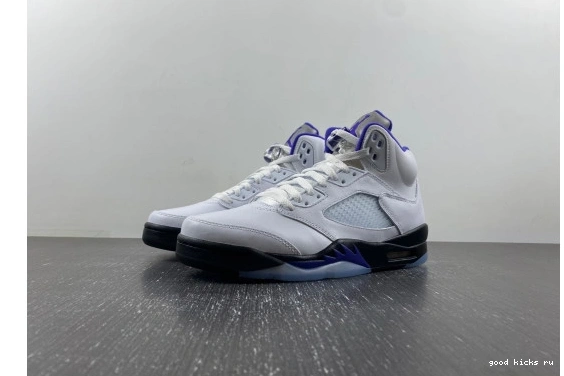DD0587-141 DD0587-141 Jordan Concord Dark Retro 5  0502